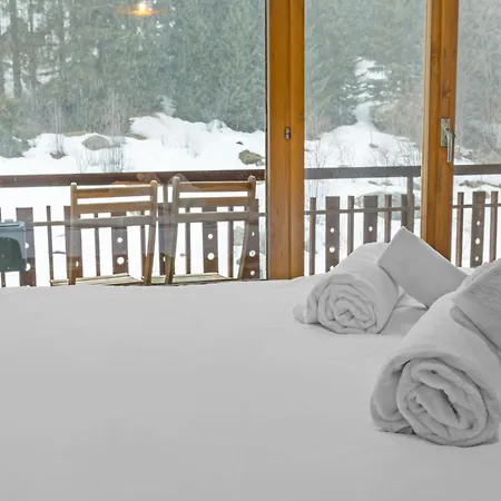 Cosy A 1 Minute A Pied Des Pistes De *